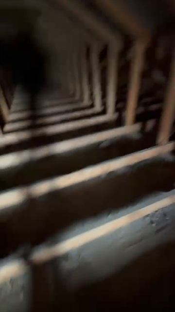 Помещение свободного назначения 211.7 м² смотреть онлайн