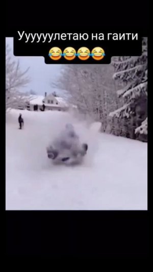 #улетаю #гаити #дети #зима #смех #юмор #ржака #санки
