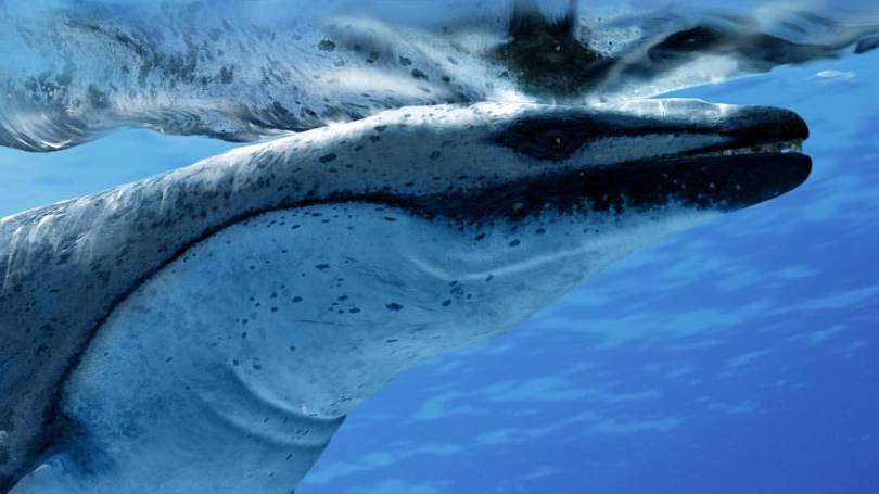 Сериал BBC: Прогулки с чудовищами — 2 серия / Walking with Beasts смотреть онлайн