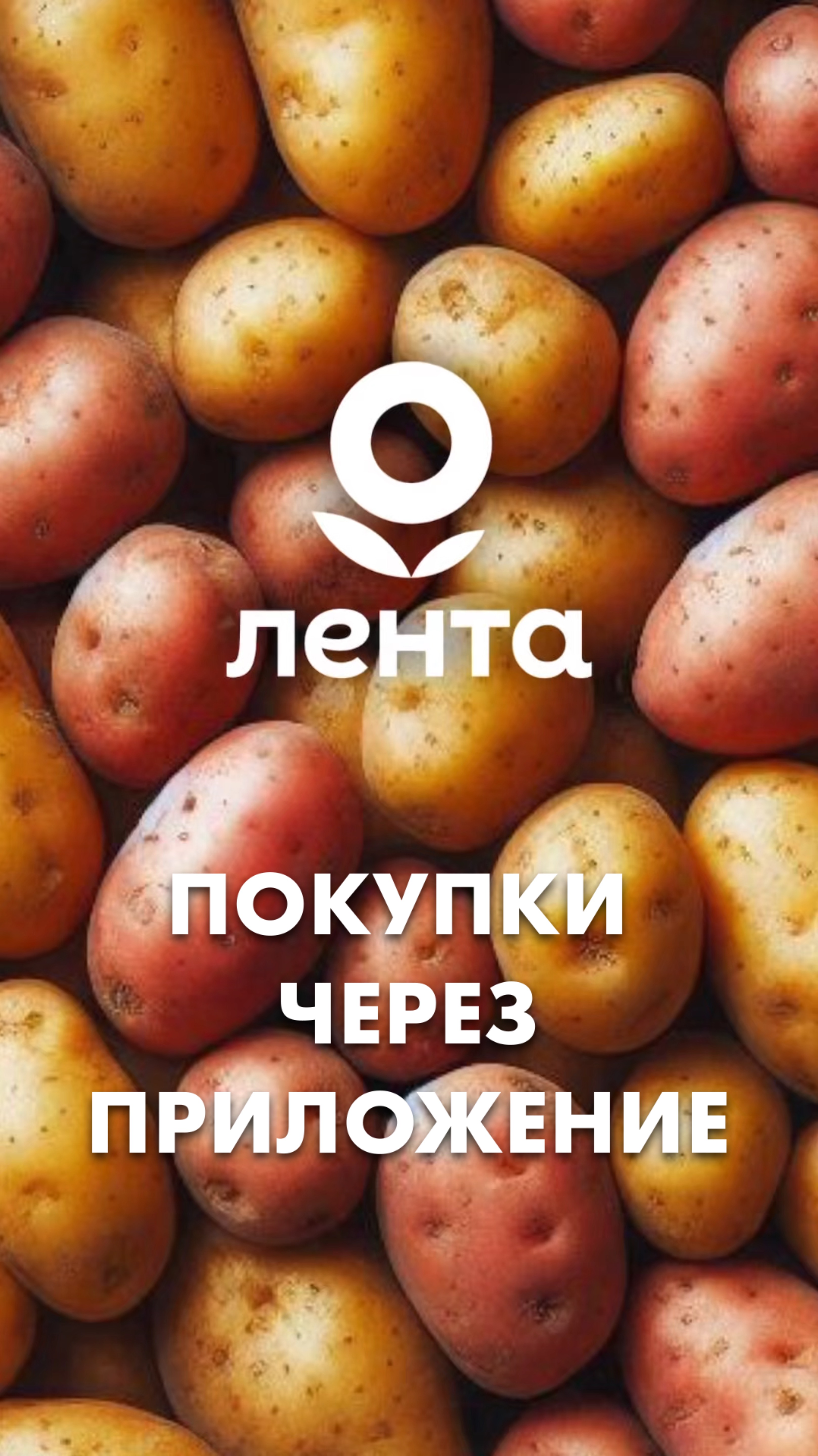 Чтобы оформить бесплатную доставку из «Ленты», — достаточно скачать приложение📱 смотреть онлайн