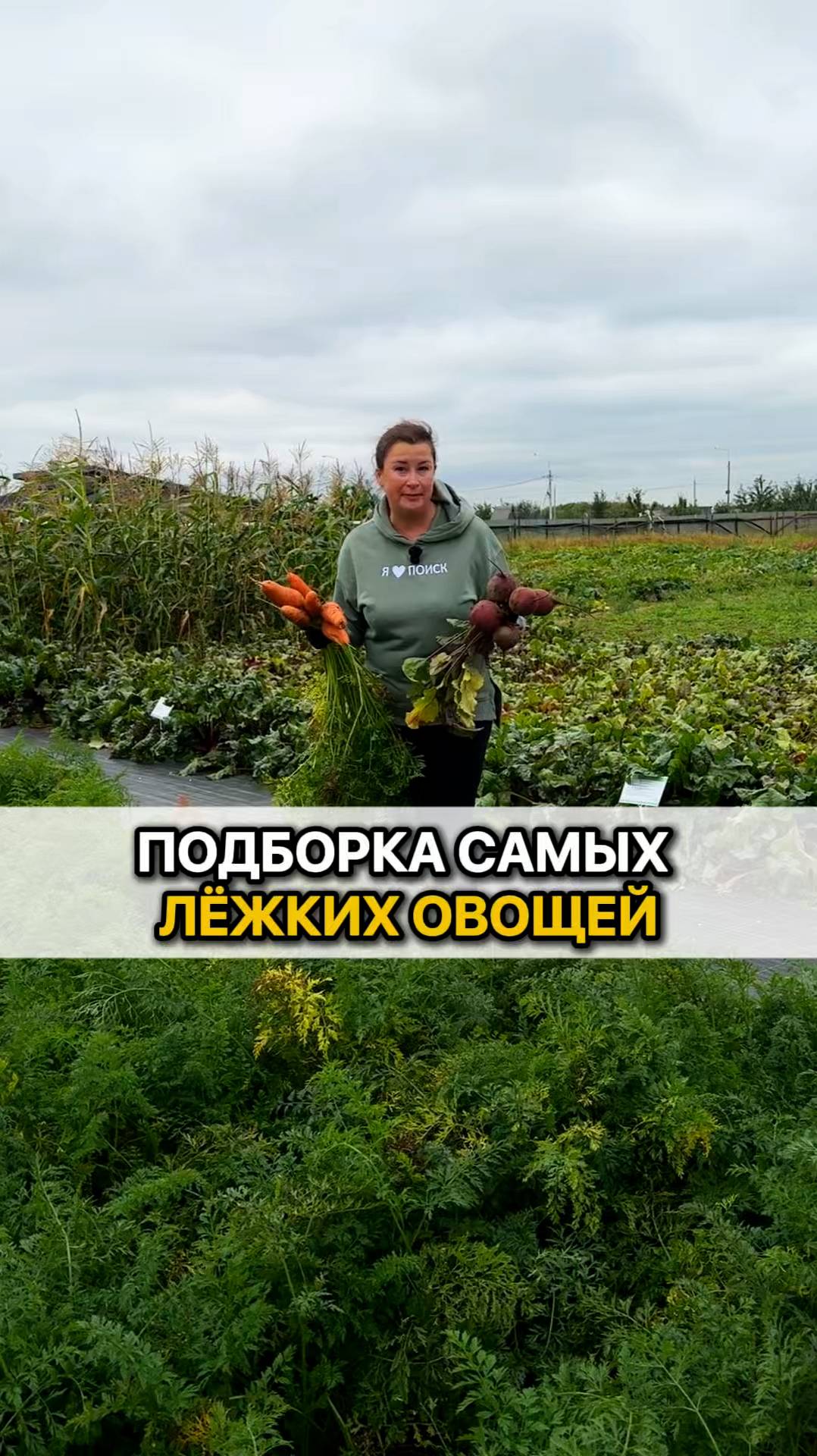 Эти овощи будут храниться дольше всех!