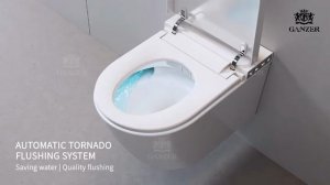 Унитаз подвесной СМАРТ GZ19325 белый от бренда Ganzer