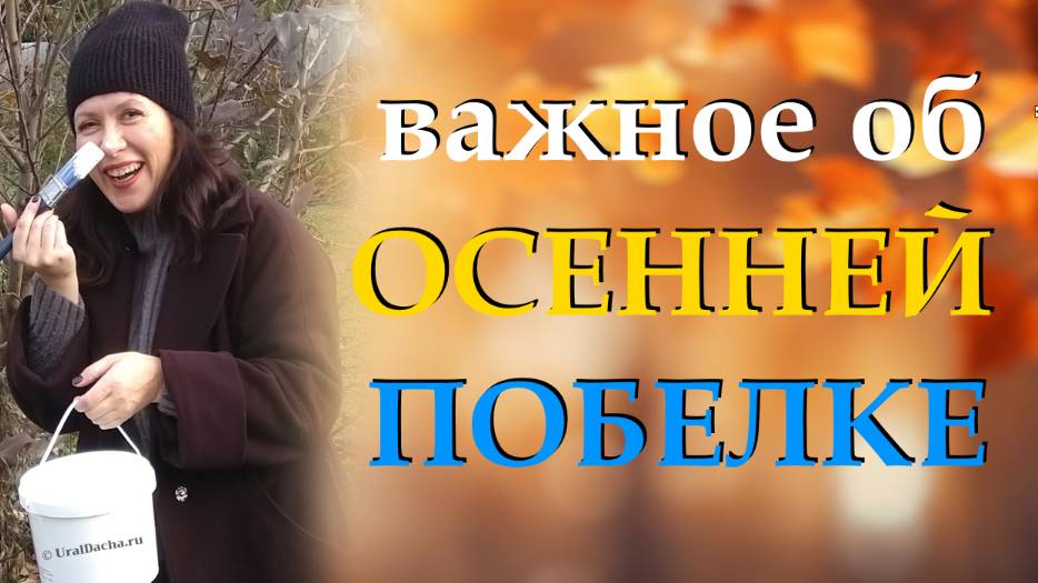 Как и когда правильно белить деревья осенью: полное руководство смотреть онлайн
