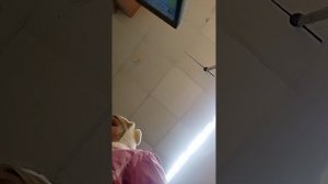 магазин магнит