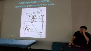 Семинар в г.Пятигорск- 2/3ступень, сентябрь 2025 (часть 20) - продолжаем говорить о лопатке