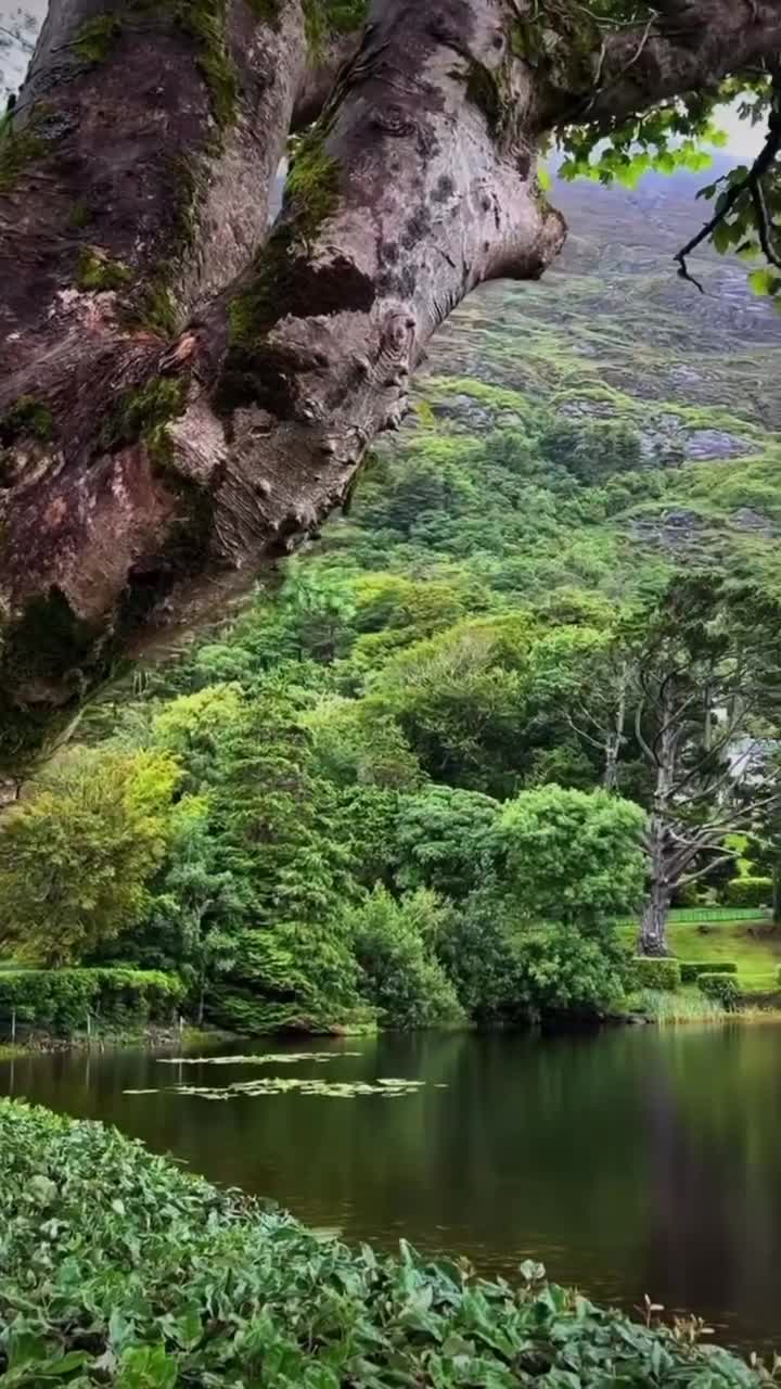 Во время свадебного [https://t.me/klincovtravelpro|путешеств]ия Маргарет Генри была очарована дер... смотреть онлайн