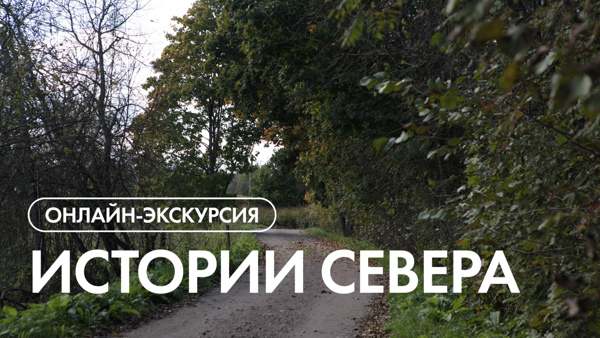 Онлайн-экскурсия по посёлку 