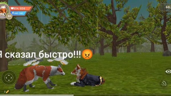 ТИПЫ ИГРОКОВ В WildCraft