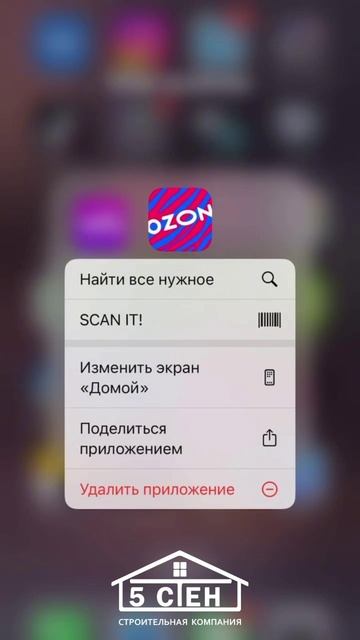 Проект «Скалли» СК «5 Стен» смотреть онлайн
