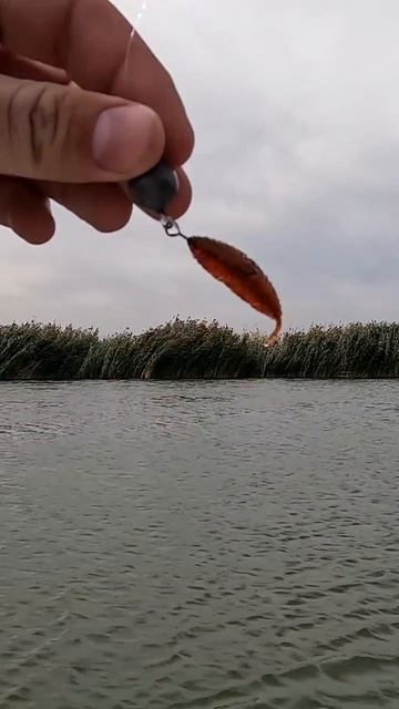 Уже скоро шикарные приманки "Fishmir" будут в продаже!!! смотреть онлайн