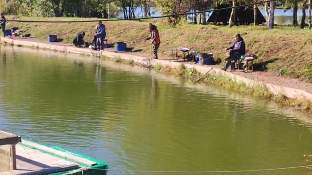 WhatsApp Video 2025-09-30 at 13.18.09 смотреть онлайн