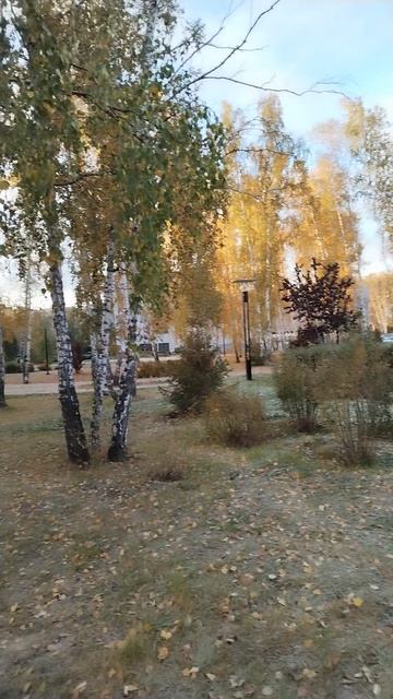 Доброе утро осень. 30 сентября смотреть онлайн