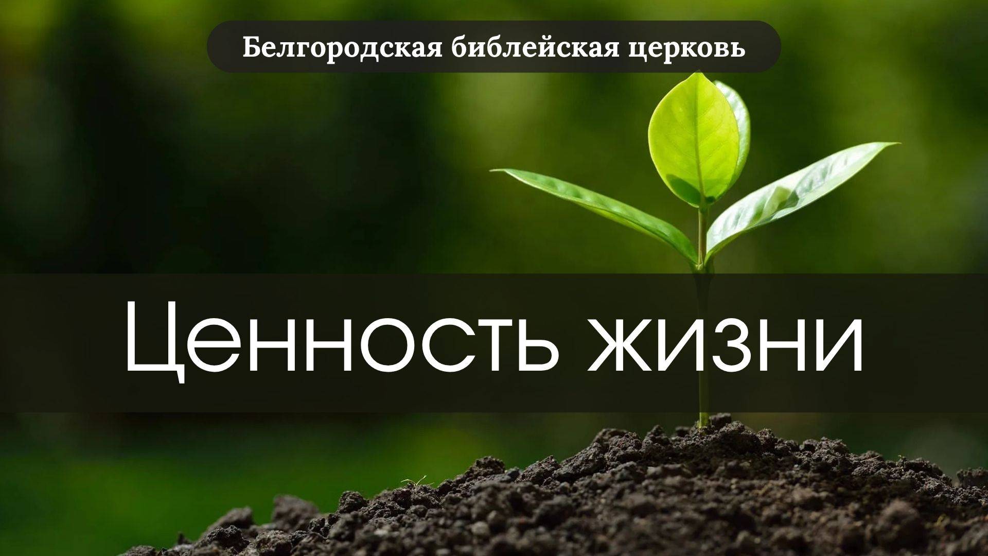 Ценность жизни Вихарев Борис смотреть онлайн