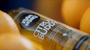 ВСЕ О CITRUS BUDDY