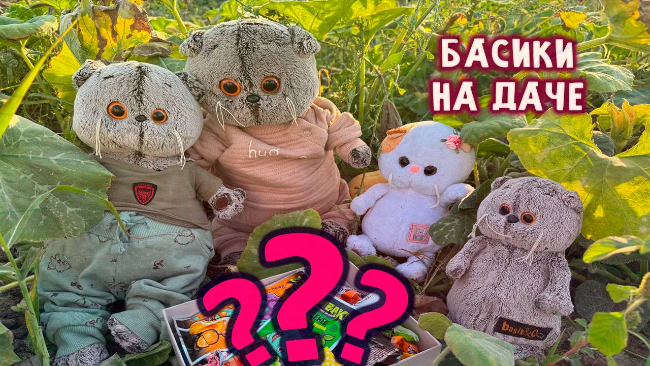 😹🎉😻 БАСИК И ЛИЛИ В ГОСТЯХ НА ДАЧЕ У ДРУЗЕЙ 😸😹😺 ВИДЕО ПРО БАСИКОВ 😱 КВЕСТ С БАСИКАМИ смотреть онлайн