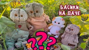 😹🎉😻 БАСИК И ЛИЛИ В ГОСТЯХ НА ДАЧЕ У ДРУЗЕЙ 😸😹😺 ВИДЕО ПРО БАСИКОВ 😱 КВЕСТ С БАСИКАМИ
