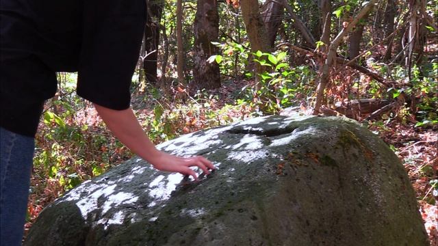 Камни-Дикари