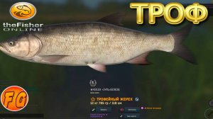 Трофейный Жерех. река Пра. Россия. The Fisher Online. Много жереха.