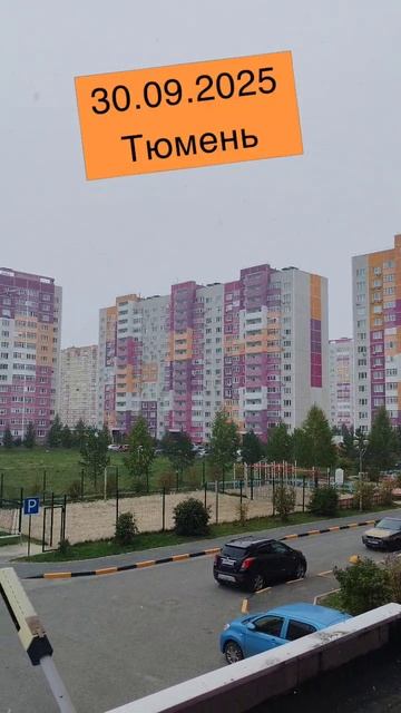 Первый снег.