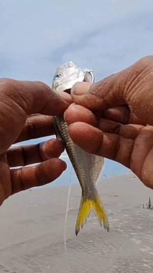 Супер классный способ насадки живца на крючёк