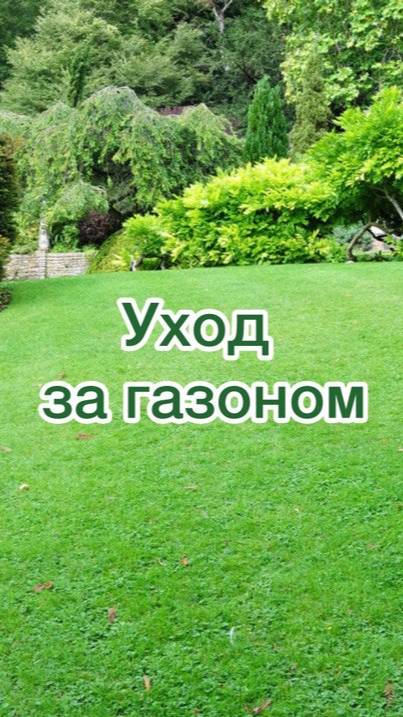 Уход за газоном #shorts смотреть онлайн