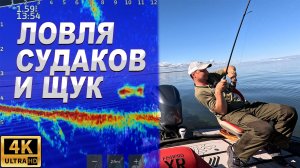 10 СУДАКОВ и пару ЩУК на СЛАГИ SmolFish