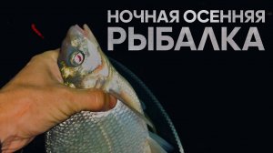 Осень! Ночь! РЫБАЛКА ночью.