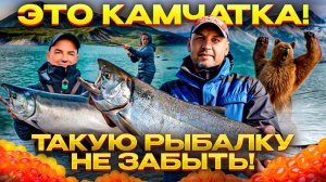 Рыбалка, о которой мечтал! Вот почему едут на Камчатку! Икра, лососи, тюлени, медведи и вулканы