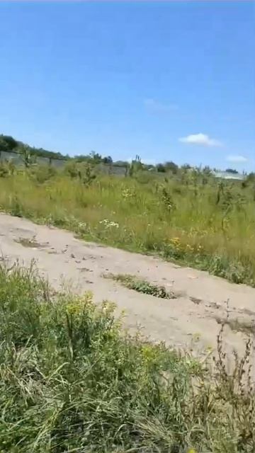 1000262255.mp4 смотреть онлайн