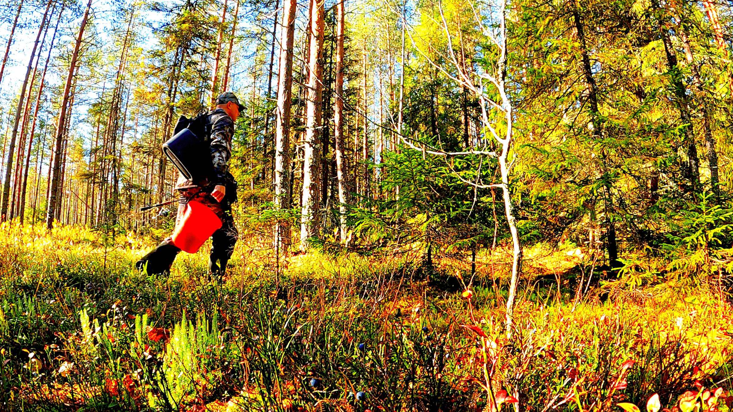 РЫБАК ЗАШЕЛ В ЛЕС НАШЕЛ ОЗЕРО И ОБАЛДЕЛ! РЫБАЛКА В КОНЦЕ СЕНТЯБРЯ 2025. ПОЙМАЛ РЫБУ И ПРИГОТВИЛ смотреть онлайн