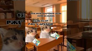 пов: мой обычный день понедельник