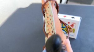 Типы лошадей шляйх, первое видео 🥰