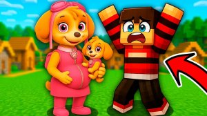 РОЖДЕНИЕ РЕБЁНКА у СКАЙ и ЗЕРО в МАЙНКРАФТ 🍼 PAW PATROL