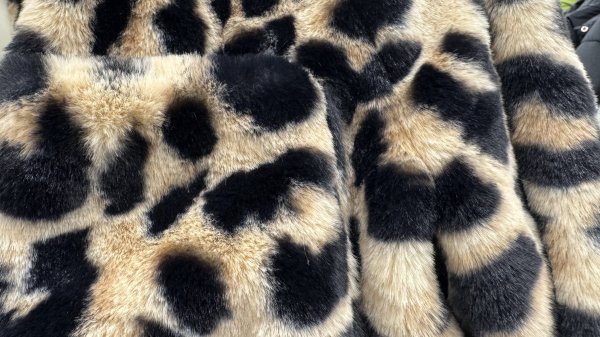 ФАМИЛИЯ | ОСЕННИЕ и первые НОВОГОДНИЕ НОВИНКИ 2026 | MODI ОБЗОР