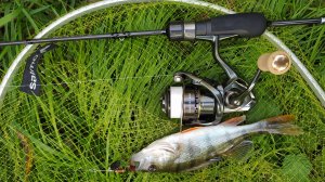 Пробная рыбалка с Shimano 23 Cardiff XR C2000S