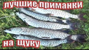 Рыбалка на амурскую щуку с лодки.