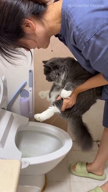 Когда думал, что видел все 👅 смотреть онлайн