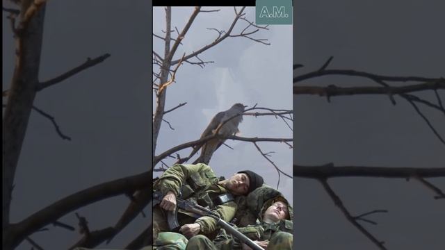 кукушка смотреть онлайн