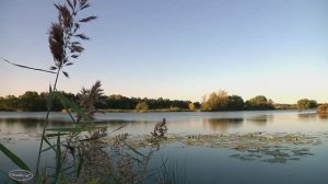 г Сызрань "без прикрас" п. Обшаровка ,(3) левая сторона Волги  , протоки , луга . Восход на реке .