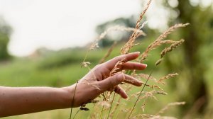 Раздорожная Татьяна, Б. Пастернак "Рассвет", сентябрь 2025