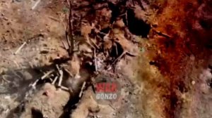 3-я штурмовая рота 291-го полка 58-й армии наступает на Орехов