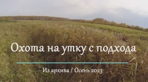 Охота на утку с подхода. Видео из архива: Осень 2023г. Охота на днёвке. Два выстрела - два селезня