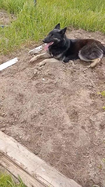 поймал мысль