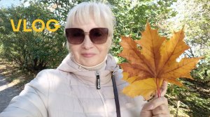 VLOG ✅ Прогулка по осеннему городу🍂 Ищу гостиницу для животных 🤷