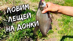 РЫБАЛКА НА ДОНКИ ВЕСНОЙ / ЛОВЛЯ ЛЕЩЕЙ НА ДОНКИ