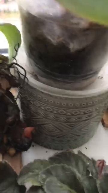 мама блогер смотреть онлайн