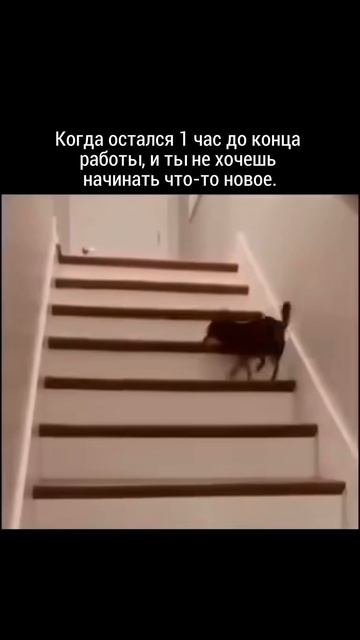 Юмор смотреть онлайн
