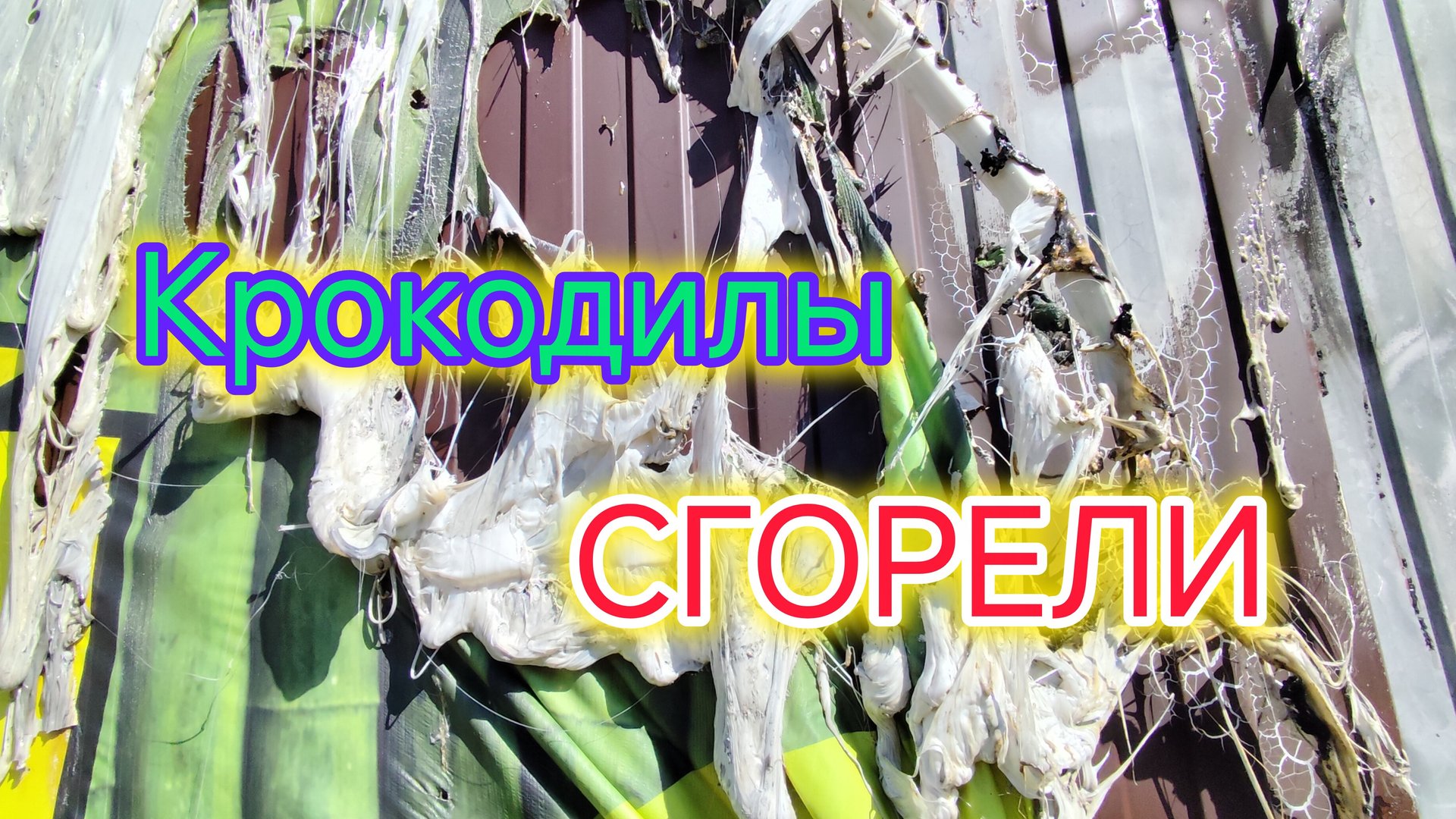 Море в Ейске, в сентябре/Выбираем технику/Крокодилы СГОРЕЛИ/Набрали камней на пляже/Обед в столовой. смотреть онлайн