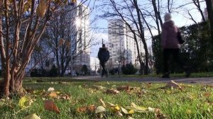 Алея "Галицкого".