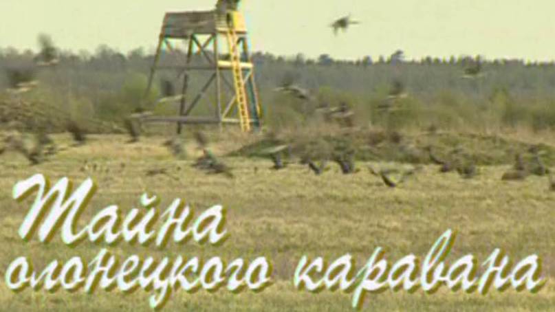 Тайна Олонецкого каравана